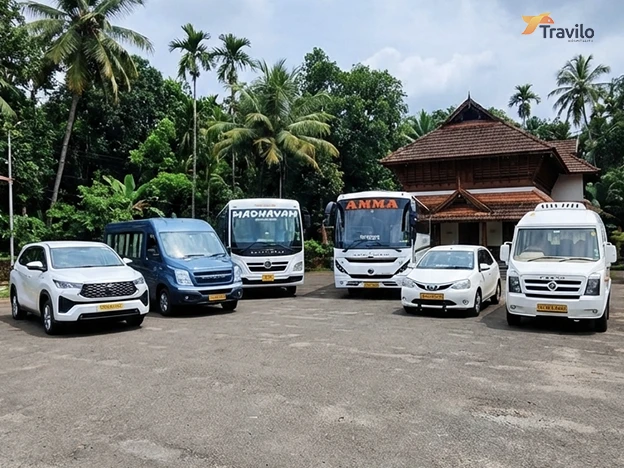 Premium Taxi Fleet